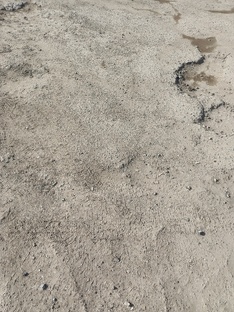 Завоз контента