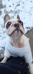 Моё счастье