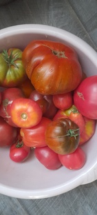 Сад,огород на юге