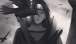 Дивный мертвый мир (книга)