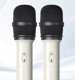 аудиовизуальный