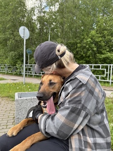 Прогулки с "Другом"