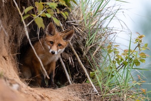 -Это ты во всем виноват!