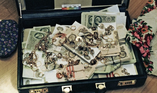 История от историка