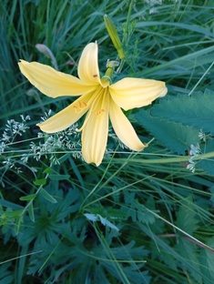 Путешествия