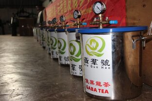 Производитель чая Габа шу и шен