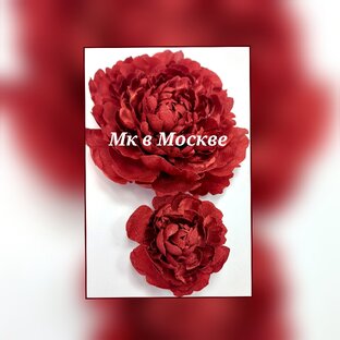Мастер классы в Москве 