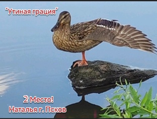Конкурсы!