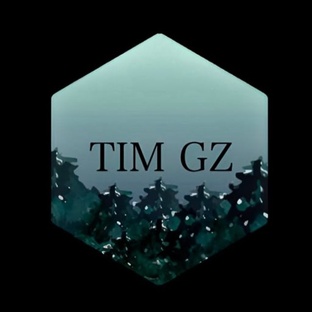 TIM GZ разработчик 