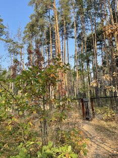 Правила общения со странниками