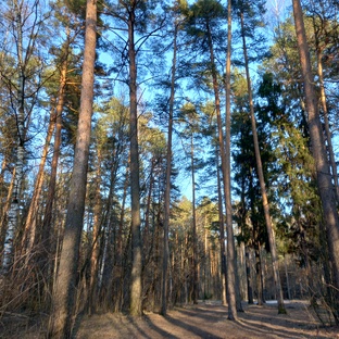 Очарование природой!