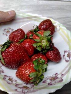 Полезные продукты