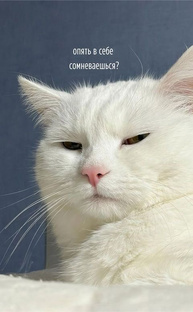 #Что на сессиях бывает