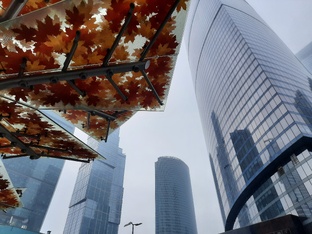 Москва: Москва-Сити и Набережная Шевченко 