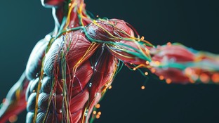 Pro -Психосоматика: когда тело говорит о душе