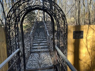 Психология