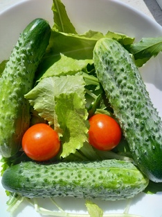 Дела садовые