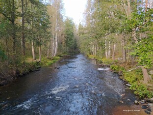 Что происходит?!