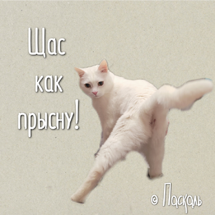 Зверьё моё 