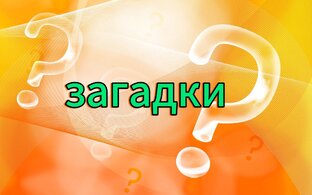 Загадки 