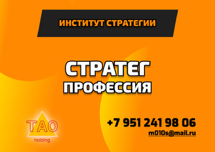 П-10 Профессия 10 СТРАТЕГ Портфель.
