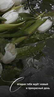 Путешествия