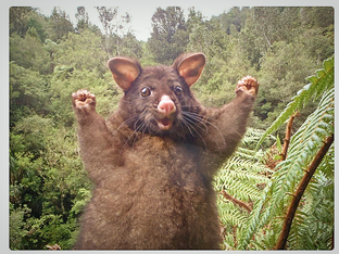 На что рыбачу я