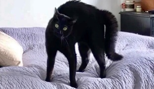 Комиксы