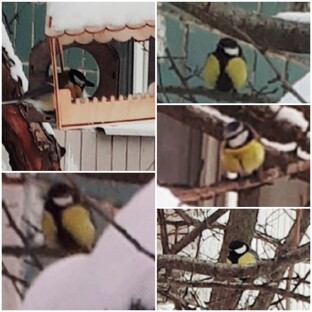 И о хвостиках тоже)