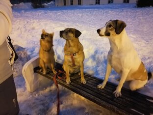 Зоокалендарь