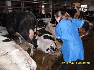 Как я что-то делала