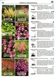 журнал о растений и рецепты здоровья