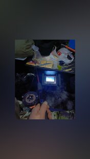 Рыбу видно но клюёт только налим