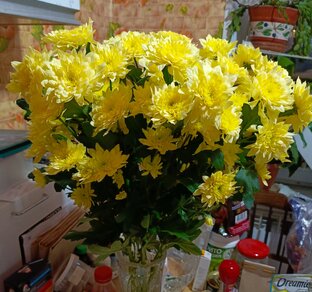 О первой любви.