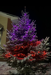 Распределение денег 2024