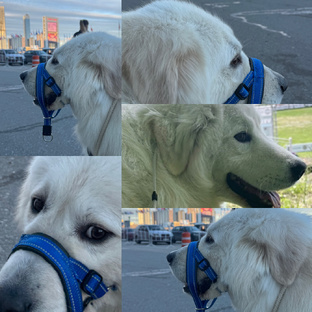 ВОСПИТАНИЕ 