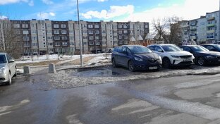 Техно Ирины Одарчук Паули