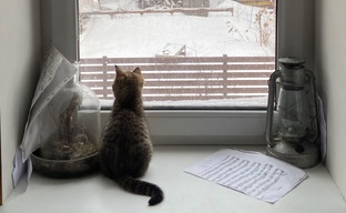 Фильмы и Книги