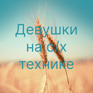 Девушки на с/х технике