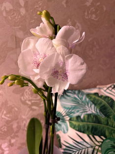 Красота рядом !! 