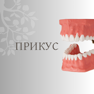 Прикус