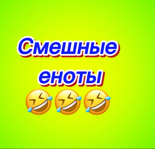 Смешные еноты🤣