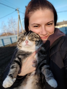 Кот