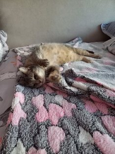 Приветики из дома