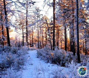 Все совершенствует природа.😇