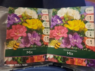 Новинки 25-26