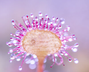 Фотостатьи