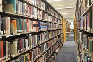 ТОПы курсов