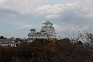 Согнутая ветвь. Япония 2014