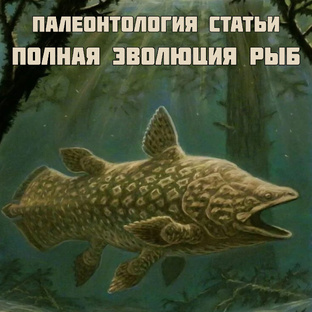 Статьи: Полная эволюция рыб